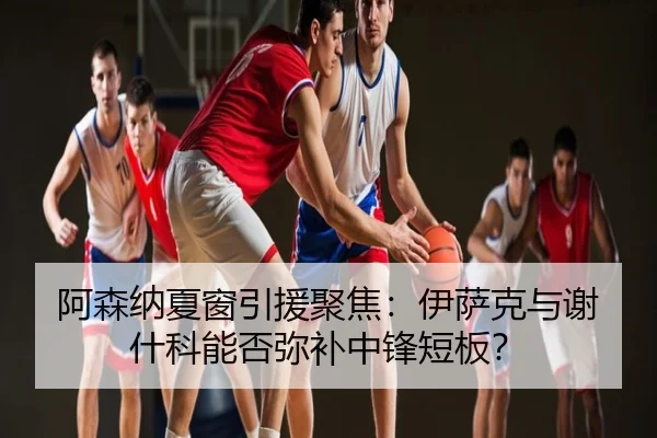阿森纳夏窗引援聚焦：伊萨克与谢什科能否弥补中锋短板？